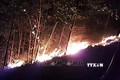 Nỗ lực dập tắt đám cháy rừng ở huyện Hiệp Đức