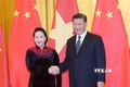 越南国会主席阮氏金银会见中共中央总书记、国家主席习近平