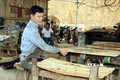 Xây dựng Tuyên Quang trở thành hình mẫu phát triển kinh tế lâm nghiệp