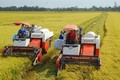 越南颁布决议 鼓励和促进企业对农业进行投资