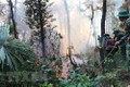 Hà Tĩnh: "Cơn mưa vàng” giúp giải nhiệt, cơ bản dập tắt cháy rừng