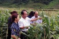 Diễn đàn khuyến nông "Giải pháp phòng, chống sâu keo mùa thu hại ngô"