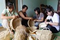 Vĩnh Phúc hỗ trợ đào tạo nghề cho người dân nông thôn
