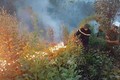 Nỗ lực khống chế cháy rừng tại huyện Phú Hòa