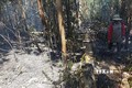 Hỗ trợ người dân khắc phục hậu quả do cháy rừng
