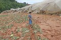 Lũ quét gây thiệt hại nặng nề cho vùng sản xuất nông nghiệp công nghệ cao ở Lâm Đồng