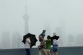 “利奇马”台风对中国造成重大损失：越南外长向中国外长致慰问电