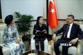 中央民运部部长张氏梅对土耳其进行工作访问