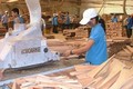 越南林产品8月出口增长16％