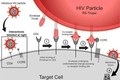 Phát hiện đột biến gien thứ hai liên quan đến khả năng kháng HIV
