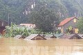 广平省：洪水造成经济损失超过4110亿越盾