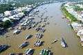 加强有关各方在越南与湄公河流域水电磋商过程中的作用