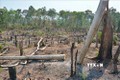 Đề nghị chuyển hồ sơ sang Công an xử lý vụ mất hơn 1.200 ha rừng ở Gia Lai