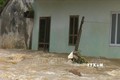 Sơn La: Mưa lớn liên tục trên diện rộng khiến hơn 100 ngôi nhà bị hư hại