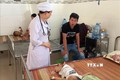 Ninh Thuận nỗ lực triển khai các biện pháp phòng chống sốt xuất huyết