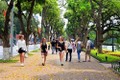 河内市接待外国游客人数突破470万人次