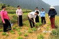 Lai Châu khuyến khích liên kết sản xuất, tiêu thụ nông sản