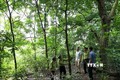 Kon Tum huy động sức mạnh cộng đồng cùng chung tay giữ rừng