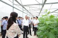 Hà Nội - Hà Nam hợp tác sản xuất tiêu thụ nông sản an toàn