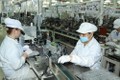 今年前8月胡志明市工业生产指数同比增长7.1%