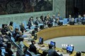 越南主持联合国安理会关于马里局势的会议