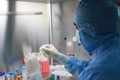 Ba Lan trở thành nước đi đầu châu Âu về dịch vụ lưu trữ tế bào gốc