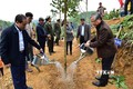 陈国旺同志出席宣光省植树节启动仪式