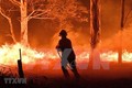 阮春福就澳大利亚严重森林火灾向澳总理致慰问电