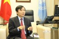 越南与联合国安理会：越南已经完成安理会1月轮值主席国任期内想要做的事情