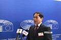 越南副外长裴青山：EVFTA和EVIPA对越南和欧盟具有重大的战略意义和经济意义