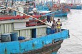 Biển đảo Việt Nam: Ngư dân Khánh Hòa tấp nập vươn khơi