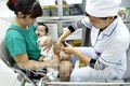 Sơn La tạm ngừng sử dụng lô vắc xin gây phản vệ sau tiêm chủng ở trẻ