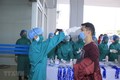 世界卫生组织高度评价越南抗击新冠肺炎疫情的努力