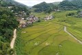 Giải pháp đột phá thúc đẩy xây dựng nông thôn mới ở Sơn La