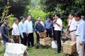 Bước tiến mới trong xây dựng các mô hình nông nghiệp hữu cơ ở Lào Cai