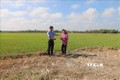 4.000 hộ dân ở vùng hạn, mặn ở Trà Vinh được hỗ trợ sử dụng nước sạch