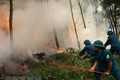 Bình Thuận có hơn 150.000 ha rừng nguy cơ cháy cao