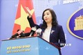 2020东盟轮值主席年：越南主动提出倡议 促进东盟合作 有效应对疾病