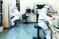 越南成为世界成功培养和分离新型冠状病毒毒株的第三个国家