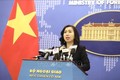 越南外交部就一名越南公民在韩国感染新冠肺炎的信息做出反应
