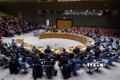 越南支持联合国安理会解决非洲面临的恐怖和暴力极端主义