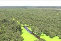 Quản lý bền vững Khu bảo vệ cảnh quan rừng tràm Trà Sư