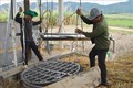 Đắk Lắk: Hướng đi mới giúp nông dân thoát nghèo trên vùng đất khó