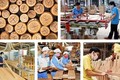 木材和木制品行业： 以促进贸易为核心