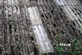 Mưa đá gây thiệt hại tại Bắc Kạn