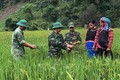 Dấu ấn người lính quân hàm xanh trong lòng đồng bào nơi biên cương tỉnh Lai Châu