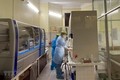 越南新冠肺炎病例累计达113例