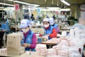  越南纺织服装集团向市场供应抗菌口罩超过3800万只