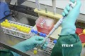 Australia thử nghiệm vaccine phòng lao để ngừa virus SARS-CoV-2 - Phát triển thiết bị bay không người lái để phát hiện bệnh nhân COVID-19