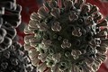  Séc sáng chế lớp màng lọc rời tăng hiệu quả phòng ngừa virus SARS-CoV-2